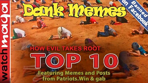 How Evil Takes Root: TOP 10 MEMES