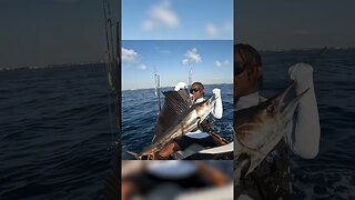 I caught a Sailfish on my Sea-Doo #Sailfish #Billfish #jetskifishing #fishing #bigfish #florida