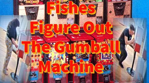 Fishes Figure Out The Gumball Machine