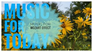 Piano Sonata no. 10 in C major, K. 330-III. Allegretto | Mozart Effect & Brain Power Music