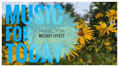 Piano Sonata no. 10 in C major, K. 330-III. Allegretto | Mozart Effect & Brain Power Music