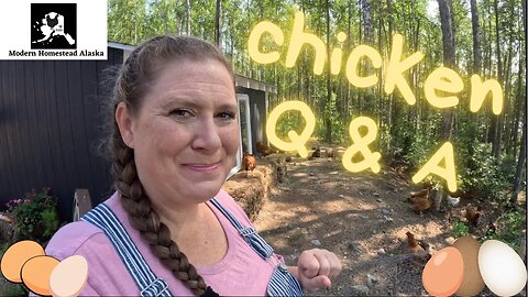 Random Chicken Q & A! Keeping Chickens in Alaska, no heat, meat chickens, egg layers all the things