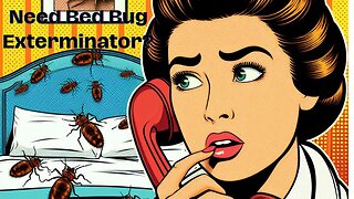 How to Choose a Bed Bug Exterminator