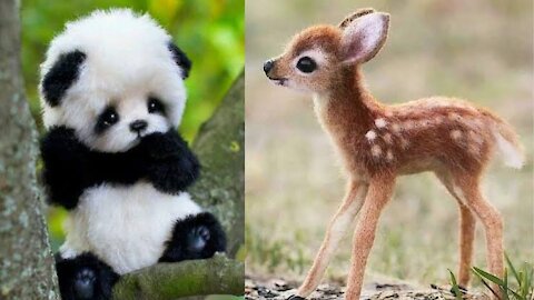 Aww Cute Baby Animals Videos Compilation ♥ Best Funny Pets Videos