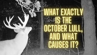 Deer Hunting: What causes the October Lull?