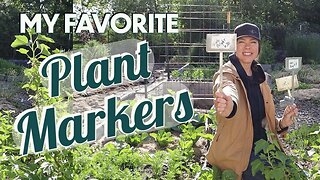 How to Label Plants in the Garden- My Favorites Plant Markers