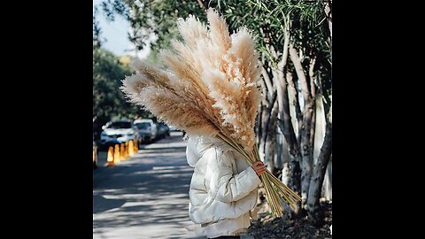 120cm Artificial Pampas Grass Bouquet Pampas Grass Long Dry Plant