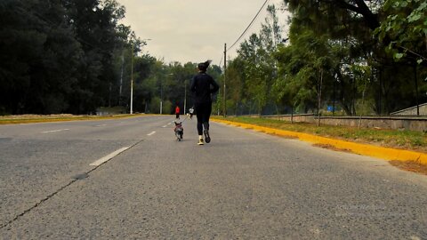 Female runner walks her dog