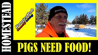 Homestead & Pig Feed: FROZEN, WHAT TO DO NOW!