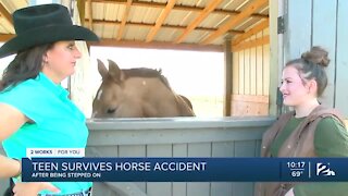 Teen survives horse accident after being stepped on