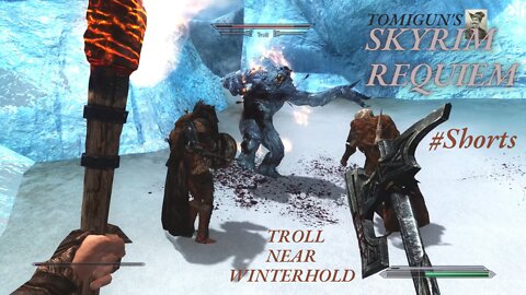 Skyrim Requiem Short Scene: Troll Near Winterhold