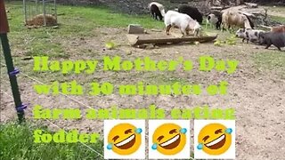 Happy Mother's Day on a farm