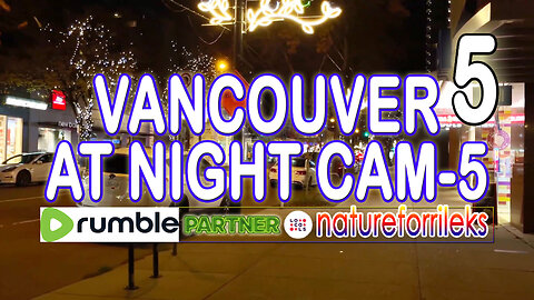 Vancouver at Night Cam-5