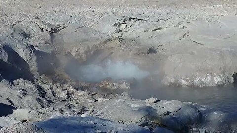 Geyser in Norris Back Basin