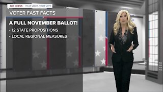You Decide: Voter Fast Facts