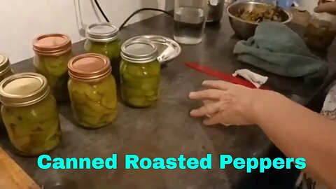 How To Can Roasted Peppers 🫑🙏#prepping#preppingpeppers#frugal#canning #blessed#shopping #community