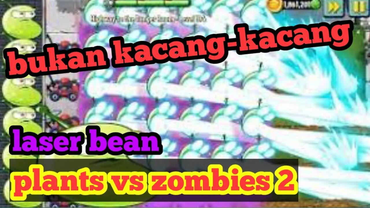 laser bean bukan sembarang laser plants vs zombies 2