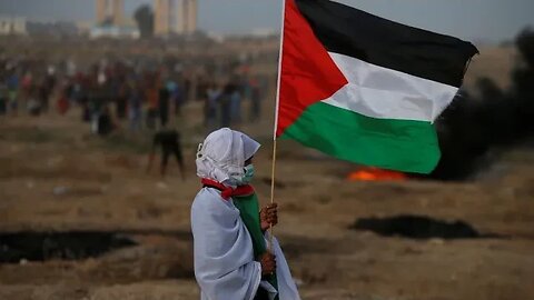 Save Palestine | Support Palestine | Stand with Palestine | Safah Kitchen
