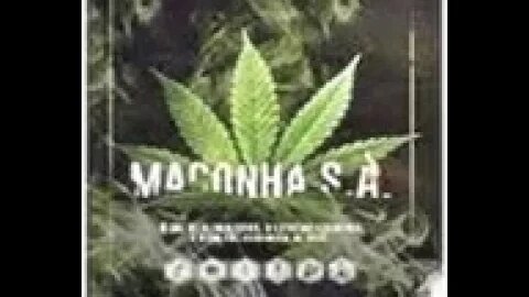 Maconha S.A.| Dr Alvaro Mendes, livro em análise