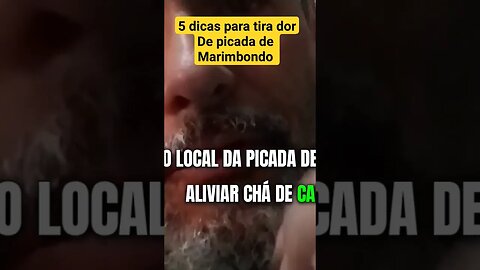 Com essa receitinha simples e fácil para dor de picada de marimbondo #shorts