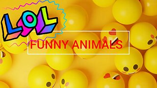 video of funny animals, share this video with a friend who can use a great big smile