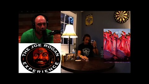 Joe Rogan Experience #2 SK Runsdown Why to SUB IT!