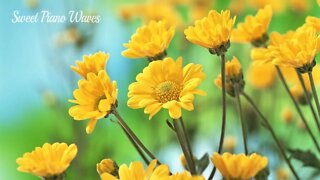 Beautiful Piano Music - Relaxing Music for Studying, Relaxation, Positive Energy, Stress Relief