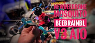 Newbeedrone Mosquito maiden flight | BeebrainBL v3 AIO (Frsky)