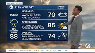 Metro Detroit Weather: Hot & humid with a chance of storms for some