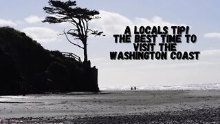 A Locals Tips - The Best Time To Visit The Washington Coast