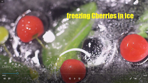 Cherries in freezing ice