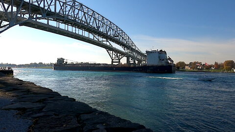 Algoma Innovator 650ft 198m Bulk Carrier Cargo Ship In St Clair River