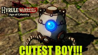 CUTEST EGG!!!: Hyrule Warriors Age of Calamity #1