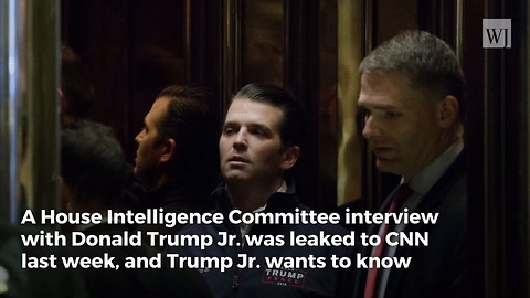 'Wildly Inaccurate': Donald Trump Jr. Calls for House Investigation Into CNN