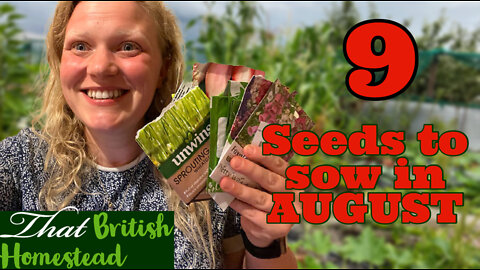 9 Seeds To Sow in AUGUST for an abundant Harvest :Allotment Garden