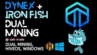 Dynex (DNX) and Ironfish (IRON) Dual Mining Tutorial