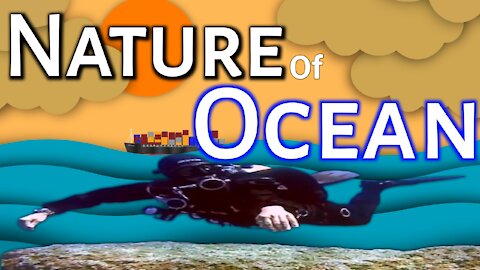 How to Ocean life the nature। Nature of Ocean। Sea creatures in water💧💦 🌊