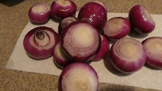 ONIONS (From seed to table)