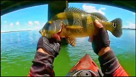 #7 Fishing Peacock Bass on the Bridge Pillar 3 - Kayak Fishing - Ultralight Fishing Style - Pesca de Tucunaré