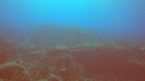 Dive day at Milolii Hawaii! 🤙🤙