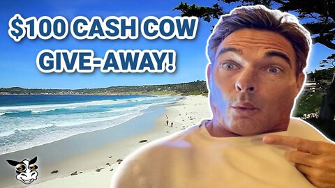 Affiliate Marketing Direct Linking Case Study + Cash Cow Giveaway 💰🐮
