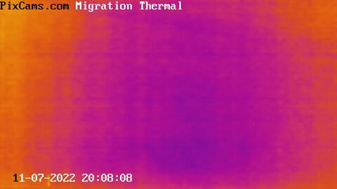 Nocturnal flocks migrating 11/7/2022 @ 20:08