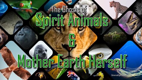 The Gnosis of Spirit Animals and Mother Earth Herself #nativeamerican #gnosticism