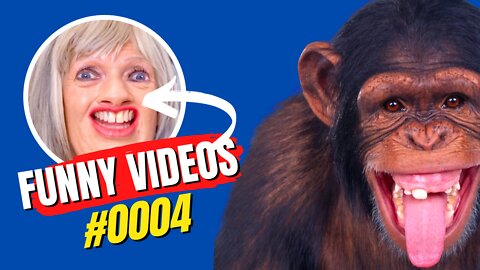 Funny Videos #0004