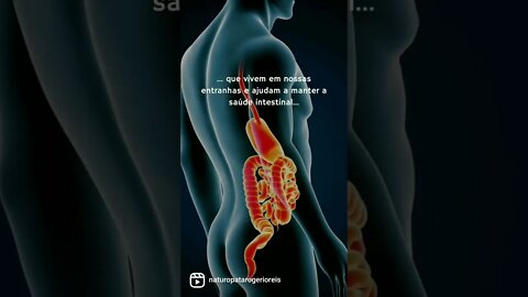 A importância da Microbiota Intestinal