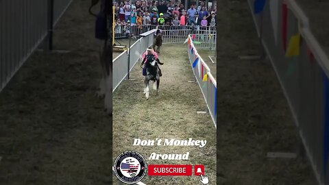 Don't Monkey Around Small Town America TikTok Monkey Riding Dog Funny Short #monkey #monkeyrider