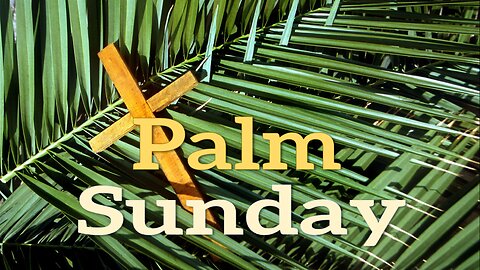 Palm Sunday - John 3:16 C.M. Sunday Morning Service LIVE Stream 3/24/2024