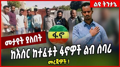 ከእስር ከተፈቱት ፋኖዎች ልብ ሰባሪ መረጃዎች ❗️ Tilahun Abeje | Fano | Amhara | Ethiopia