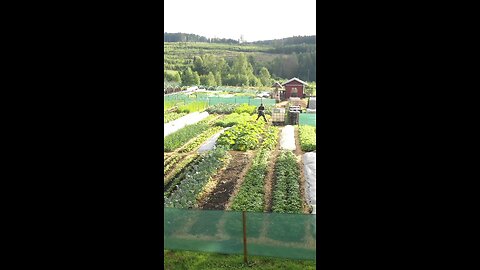 Farm beauty shoot in drone