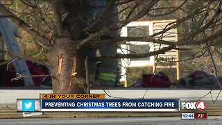 How to prevent your Christmas tree from catching fire